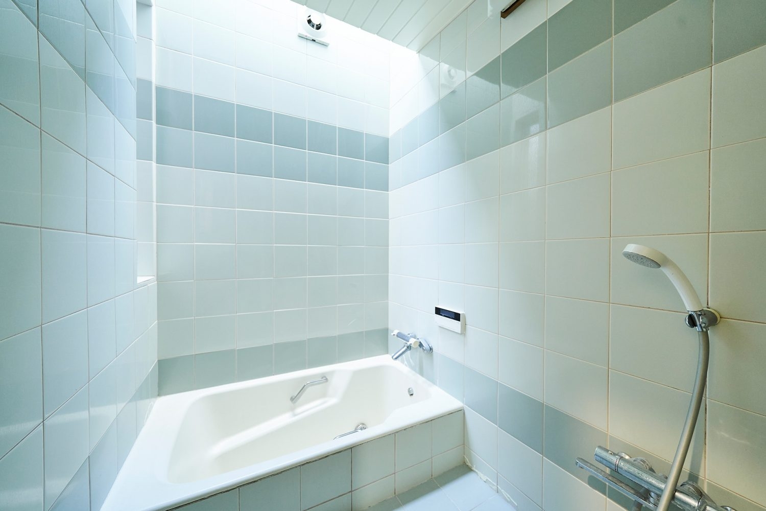 1st 1F / 天窓から自然光が入るバスルーム