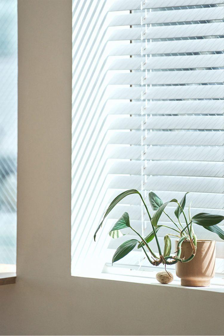 窓際で小物撮影も