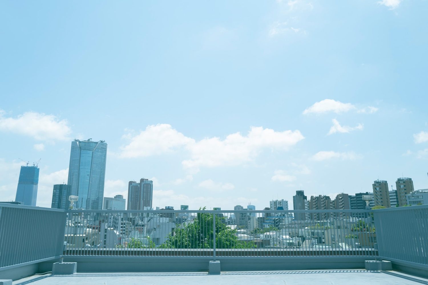 オプション:屋上 / 抜け感のある眺望