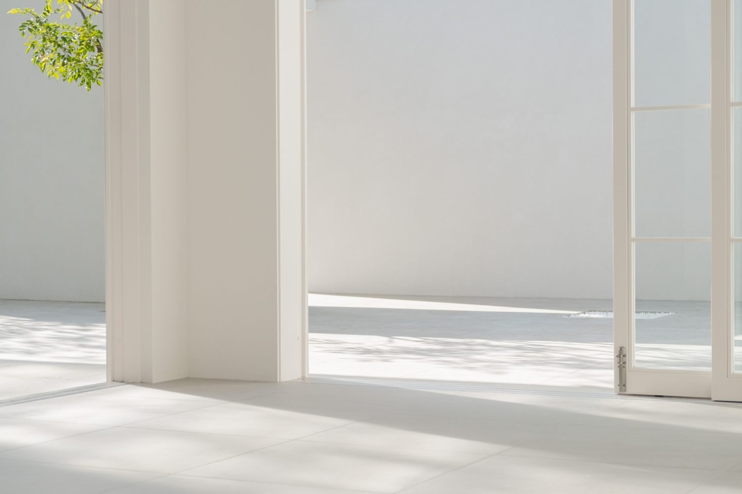 南西側 差し込む柔らかい光