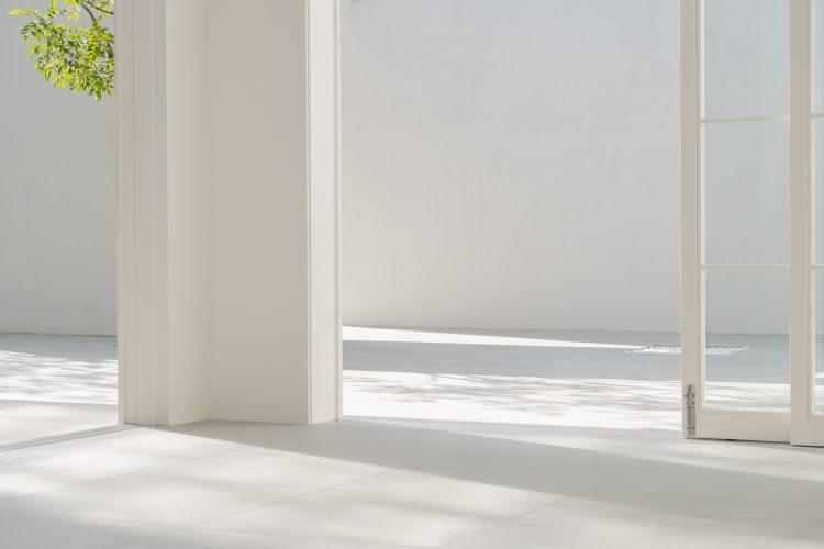 南西側 差し込む柔らかい光