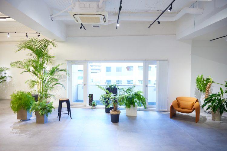 自然光撮影も可