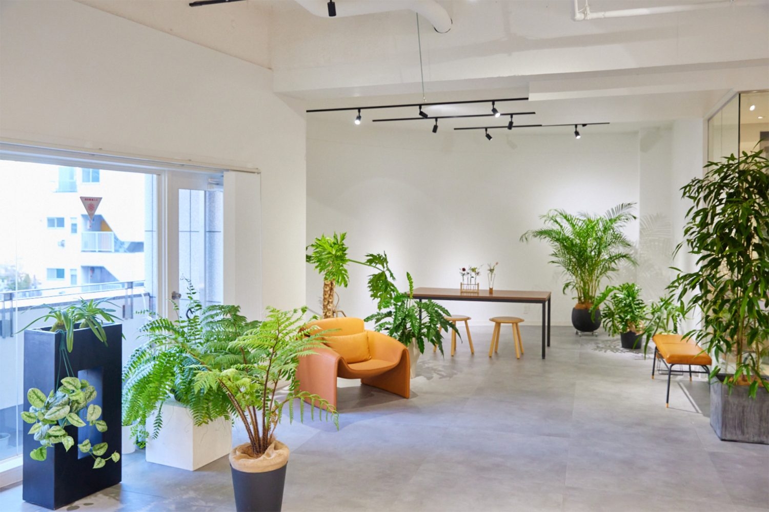 自然光撮影も可