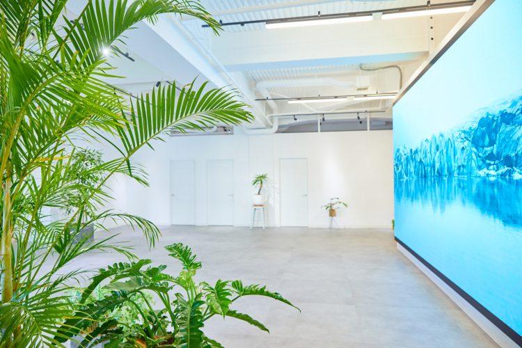 オプション:LEDスクリーン