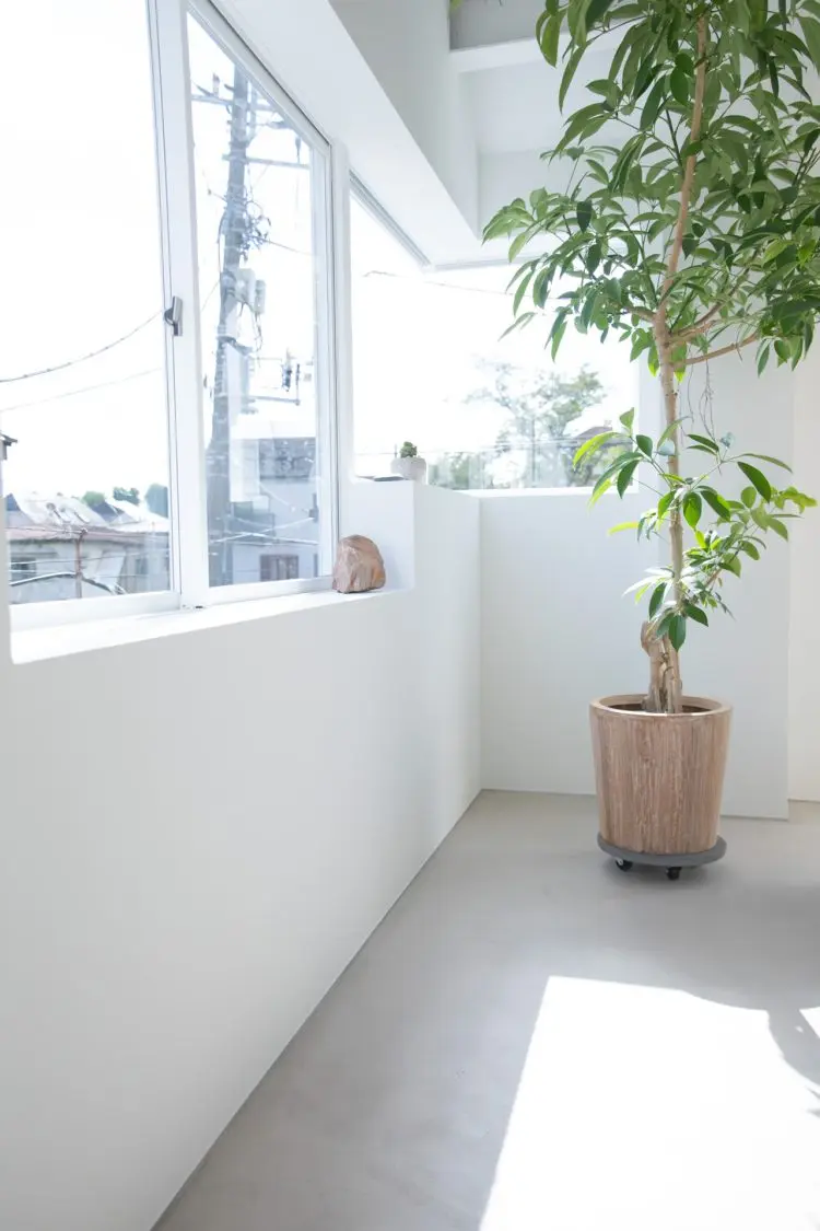 朝の自然光 / カーテンを開けて直射での撮影も