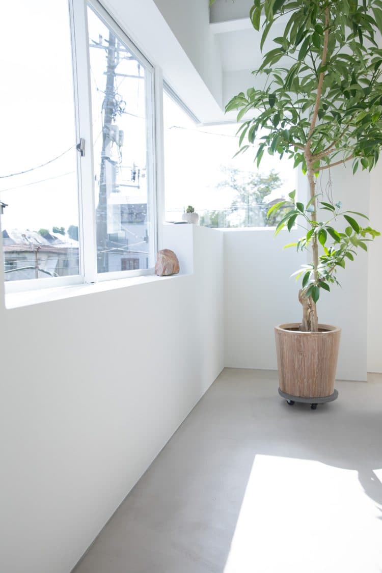 朝の自然光 / カーテンを開けて直射での撮影も