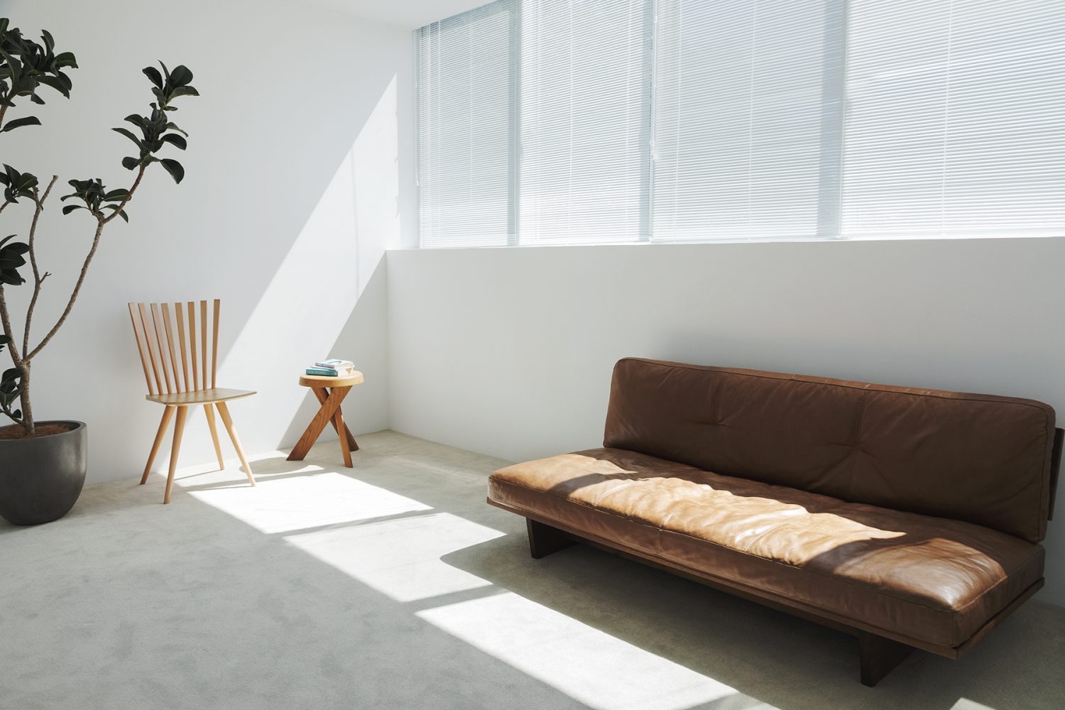 カーペット✕自然光差し込むエクストラルーム