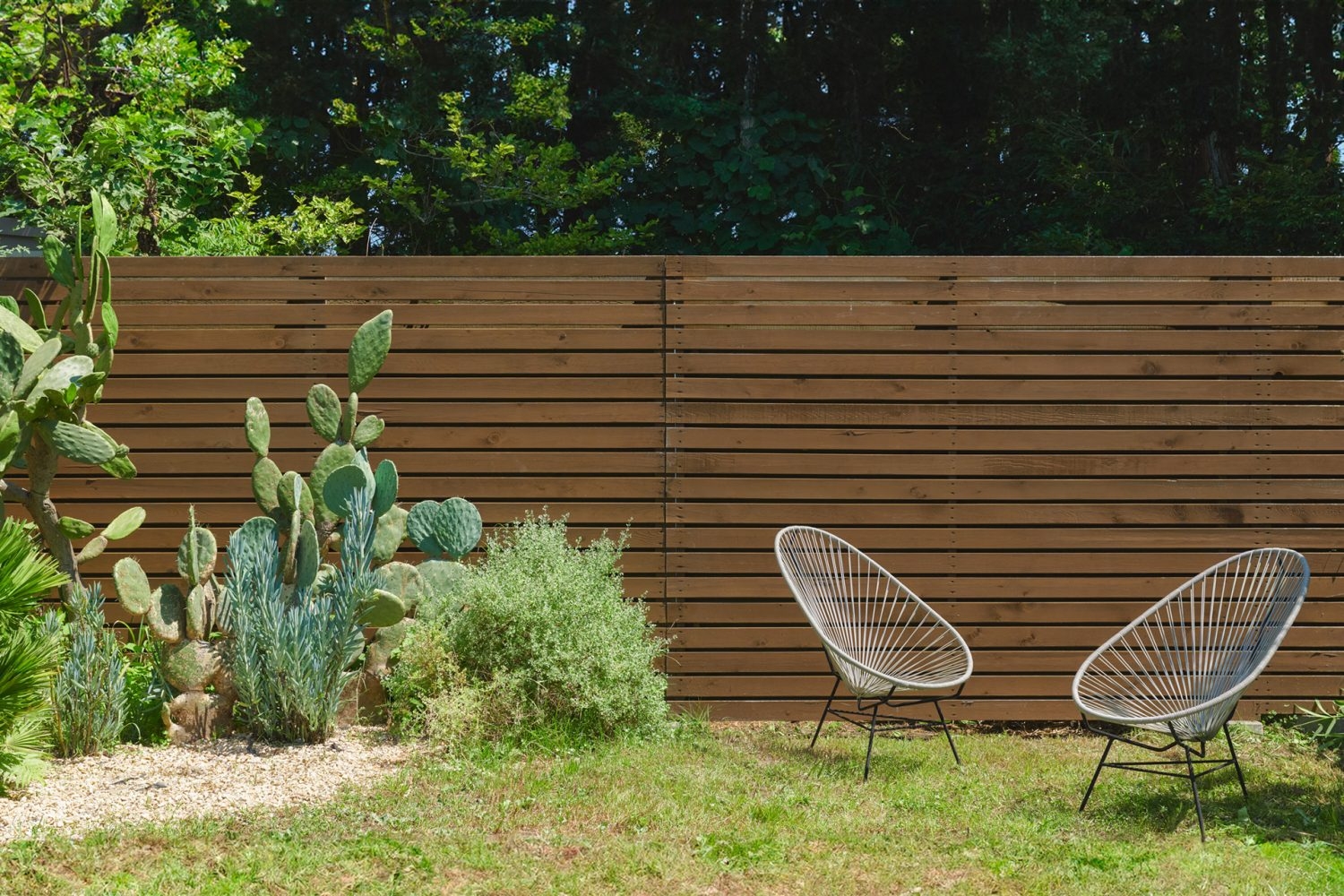 敷地内には多様な植物も