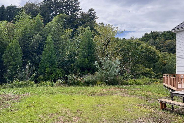 緑豊かな芝生の庭