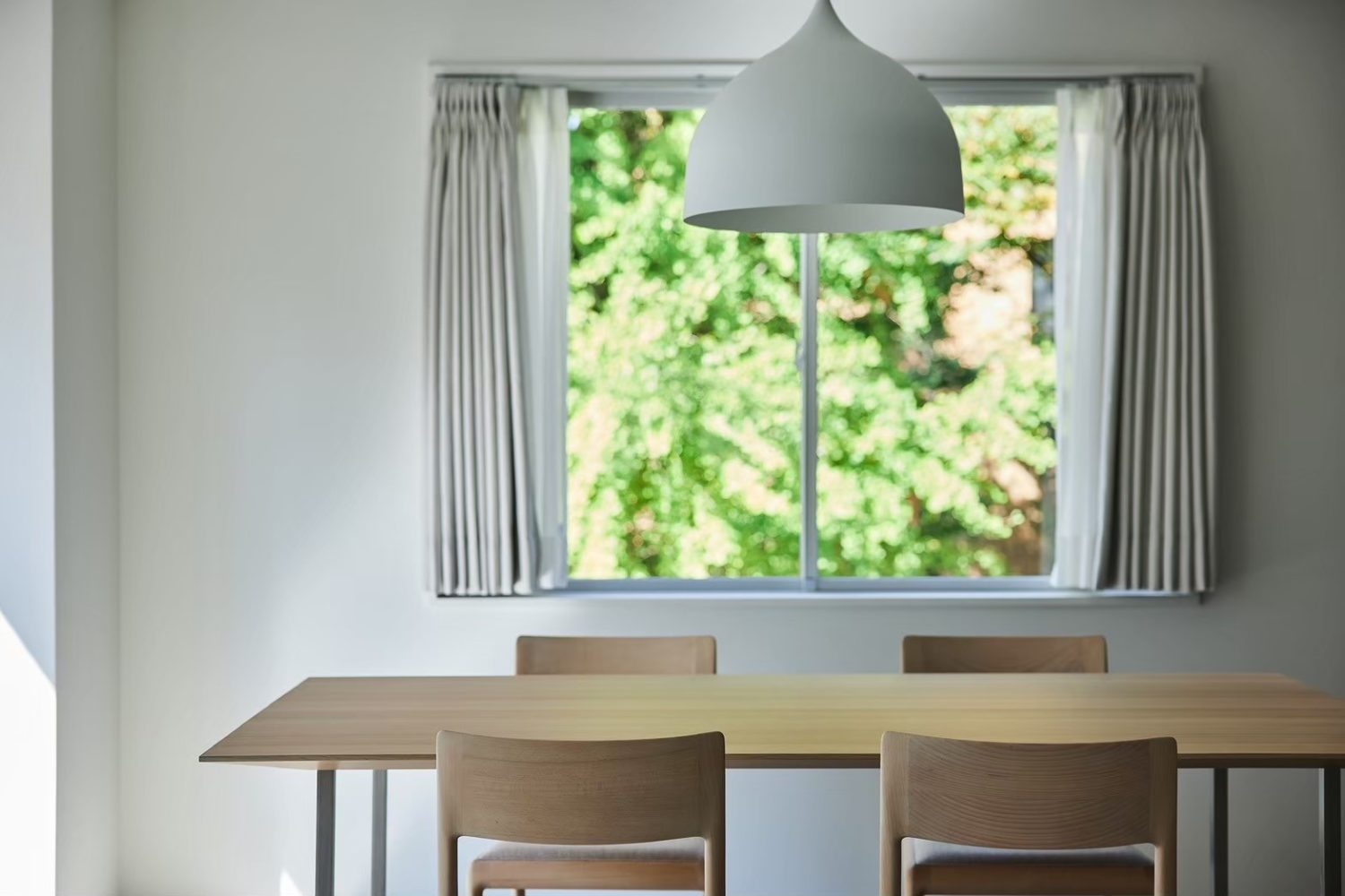 窓から覗く街路樹と抜けのよい空間