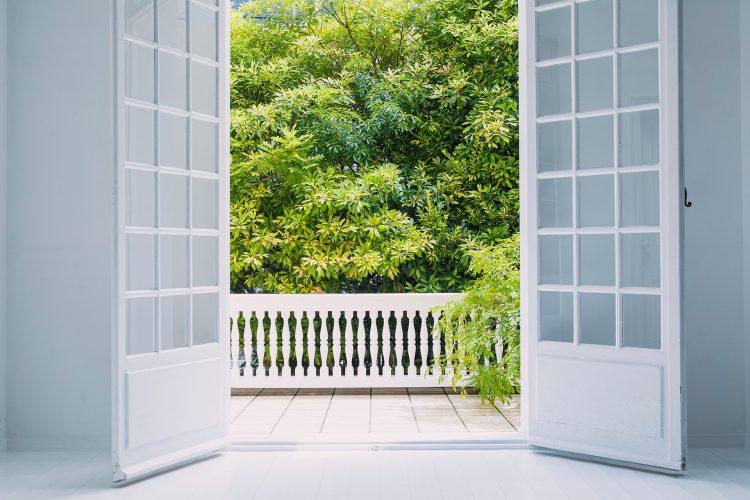 大きなドアを開くとテラスと常緑樹