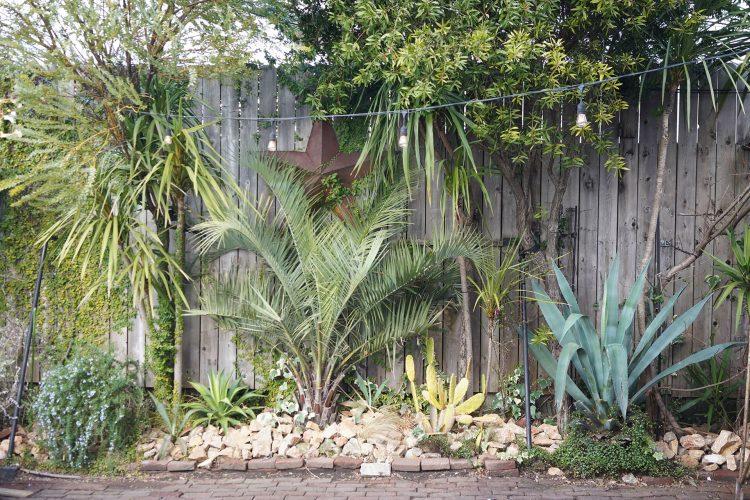 植栽が施されたフォトジェニックな壁
