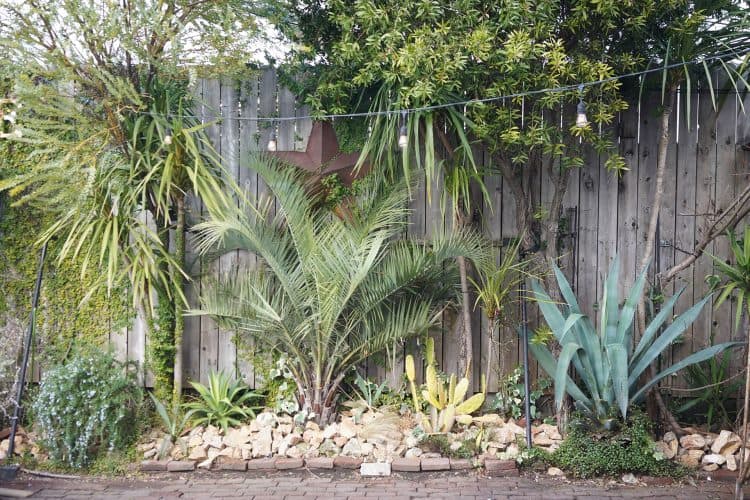 植栽が施されたフォトジェニックな壁