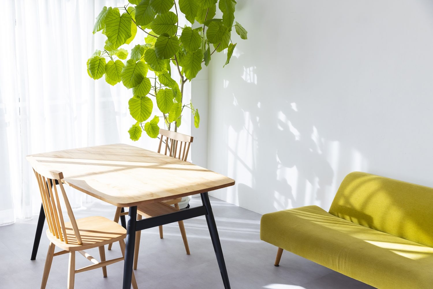 リビングダイニングシーンの撮影も