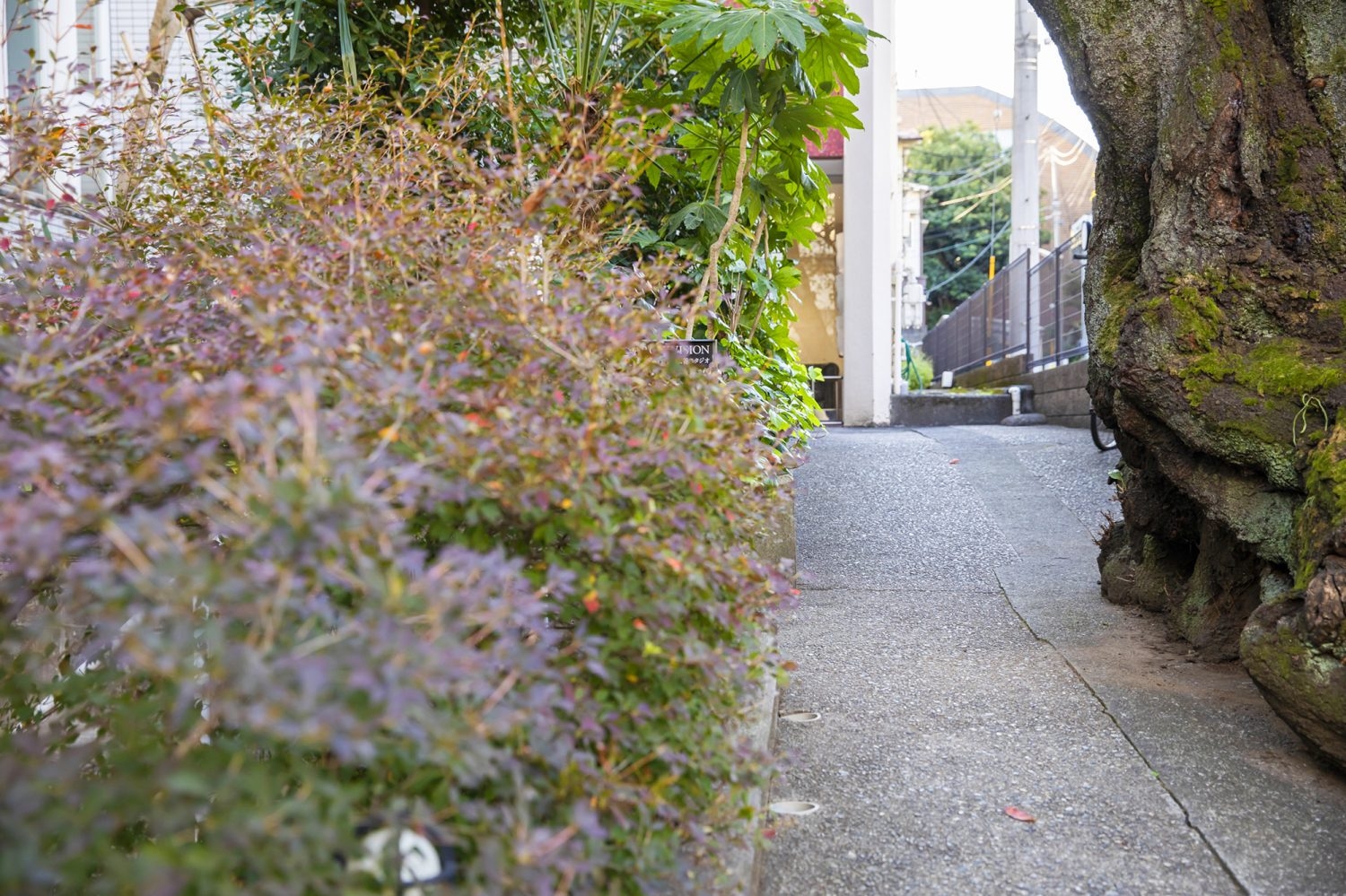 共用部 屋外通路(撮影は事前要相談)