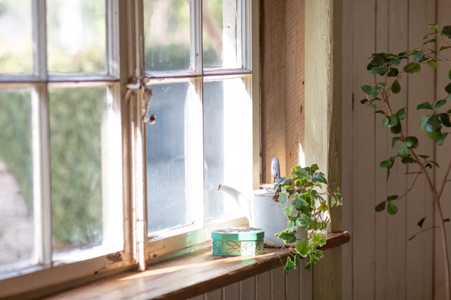 窓辺で物撮りも