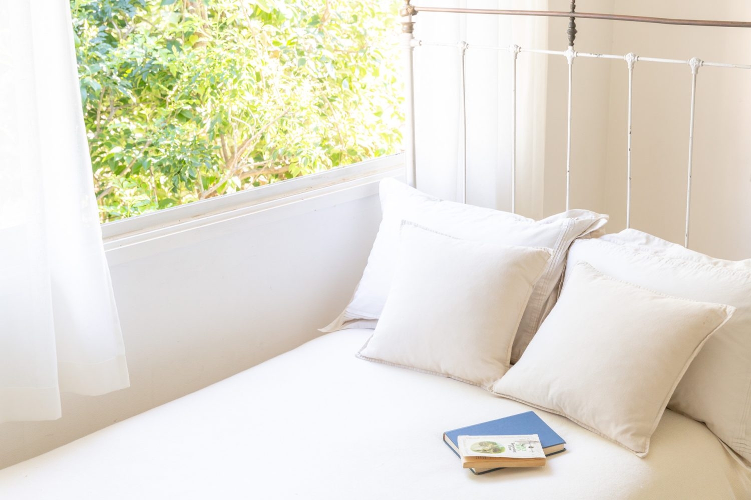 窓辺でグリーンを背景に