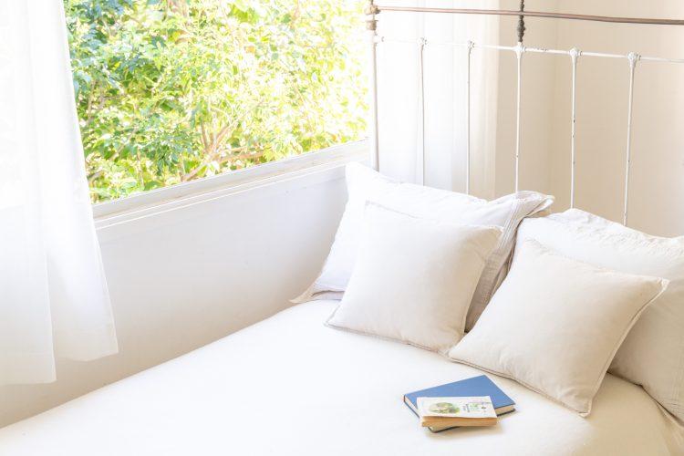 窓辺でグリーンを背景に