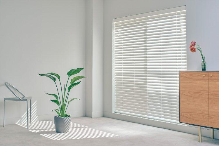 南向きの窓からブラインド越しに差し込む光