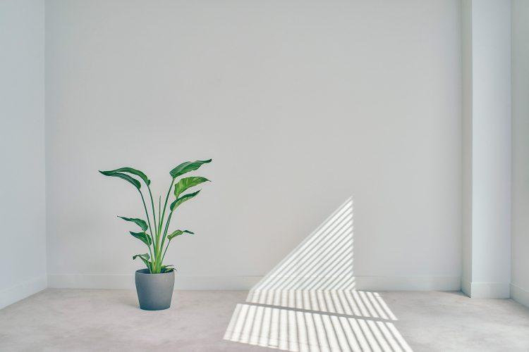 シンプルな白壁とカーペット