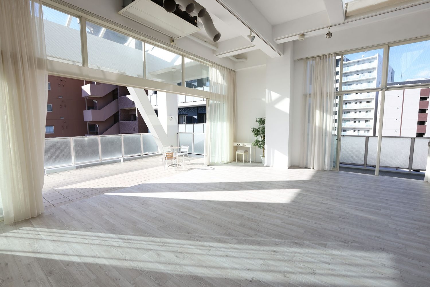 窓の高さが際立つ