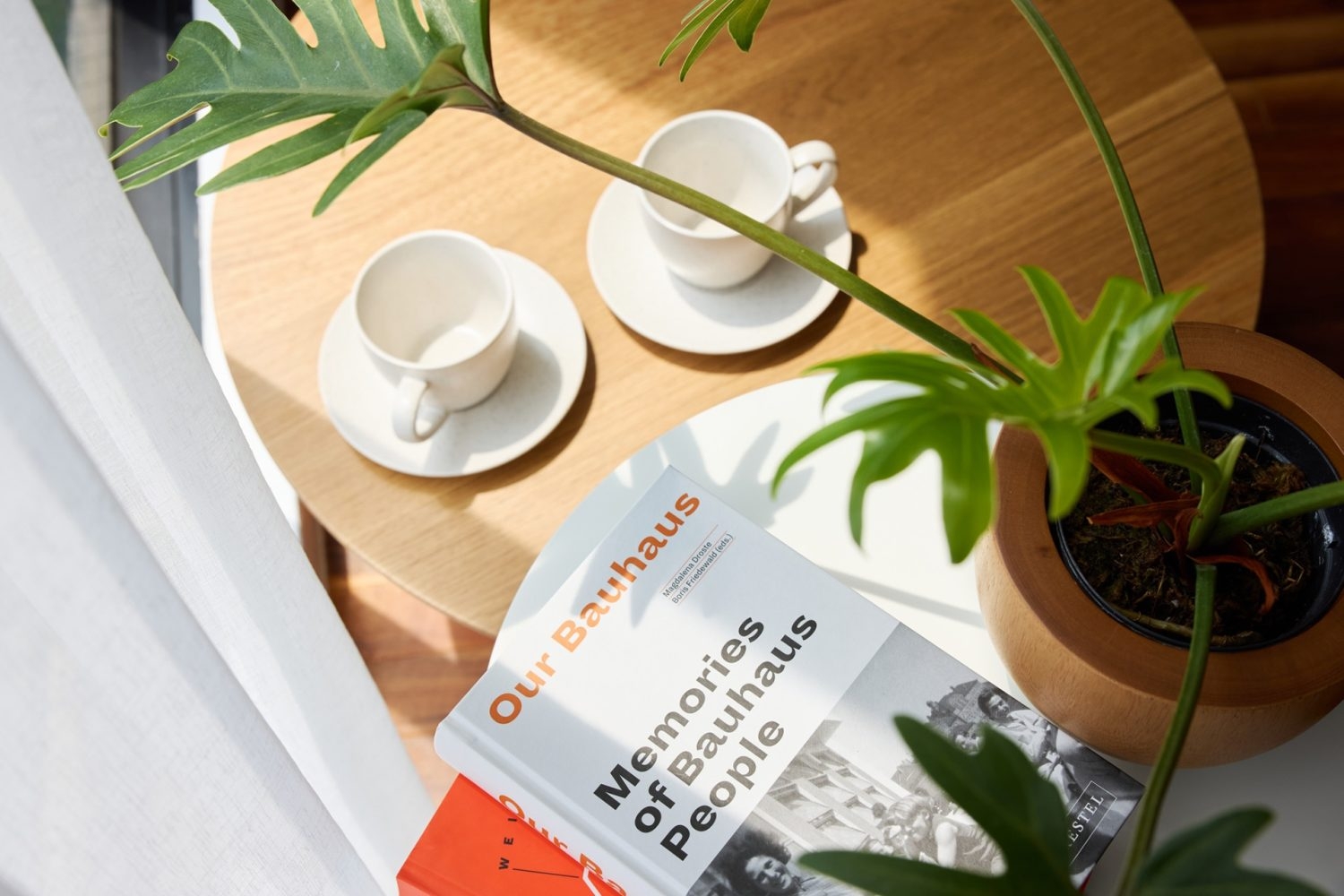 南の窓からの直射は物撮りに最適