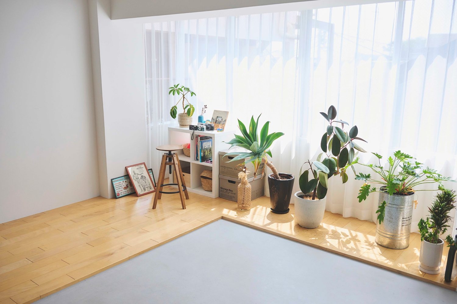 南向きのため一日中入る太陽の光