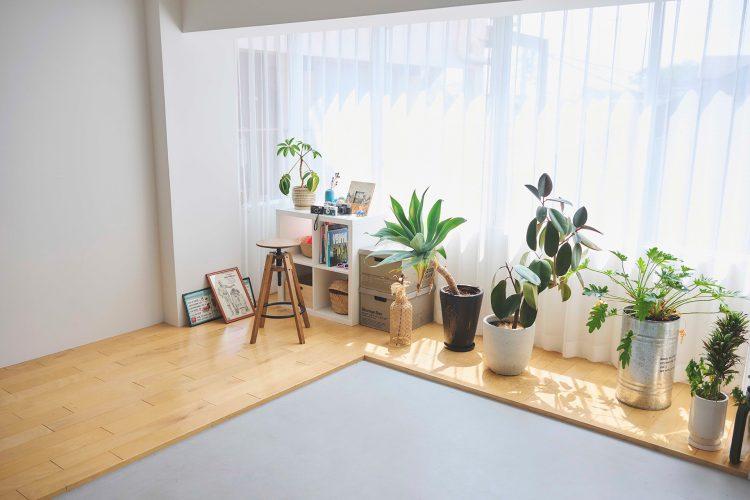 南向きのため一日中入る太陽の光