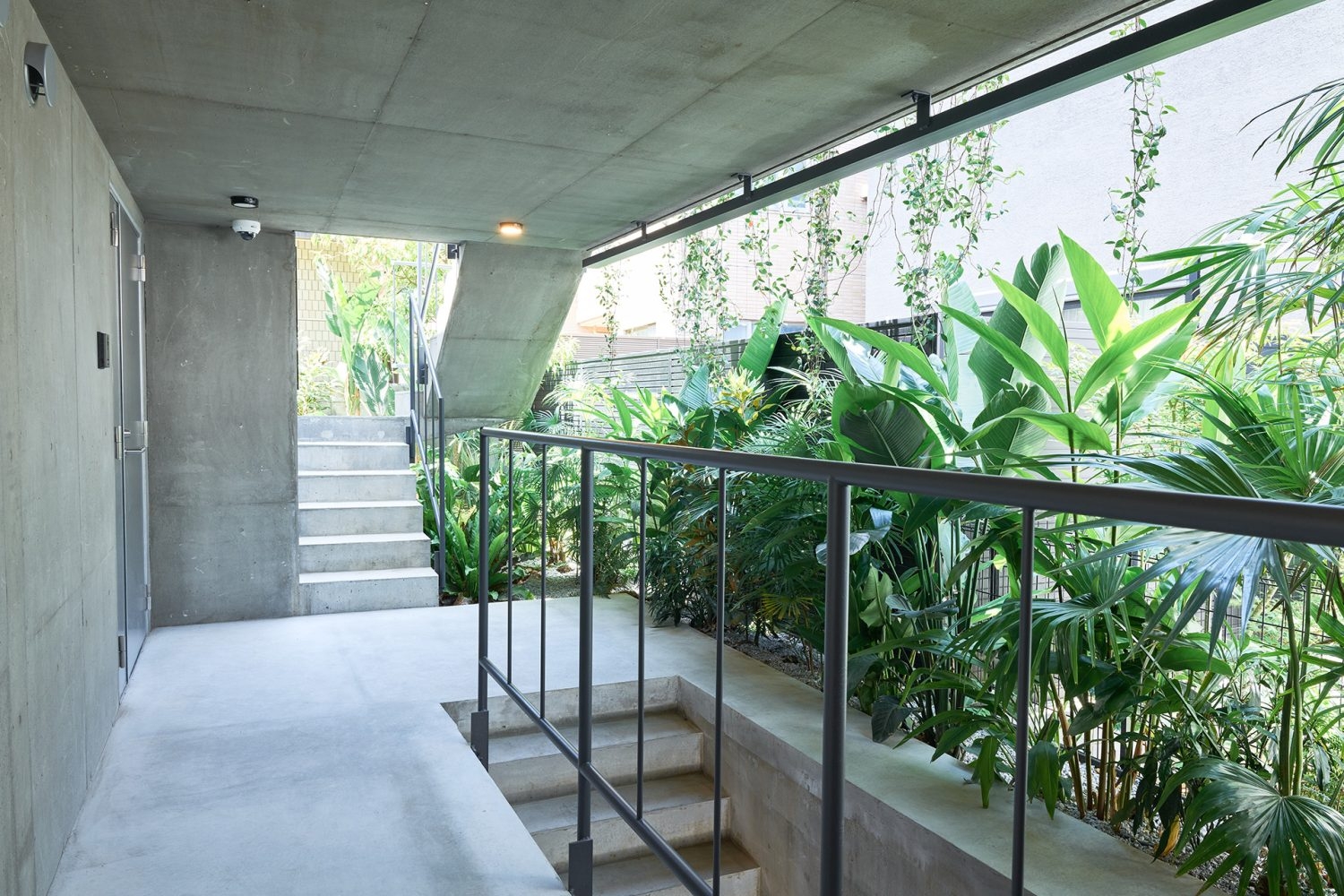 緑あふれる共用部(撮影は要相談)