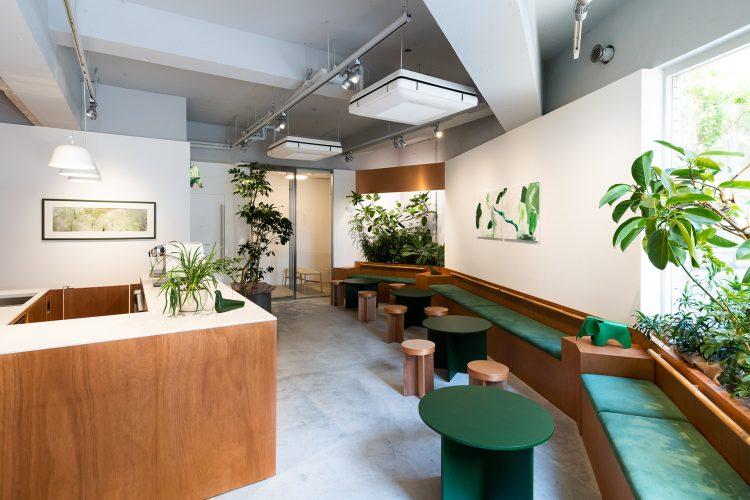 カフェ / グリーンのカラーが目を惹くスペース