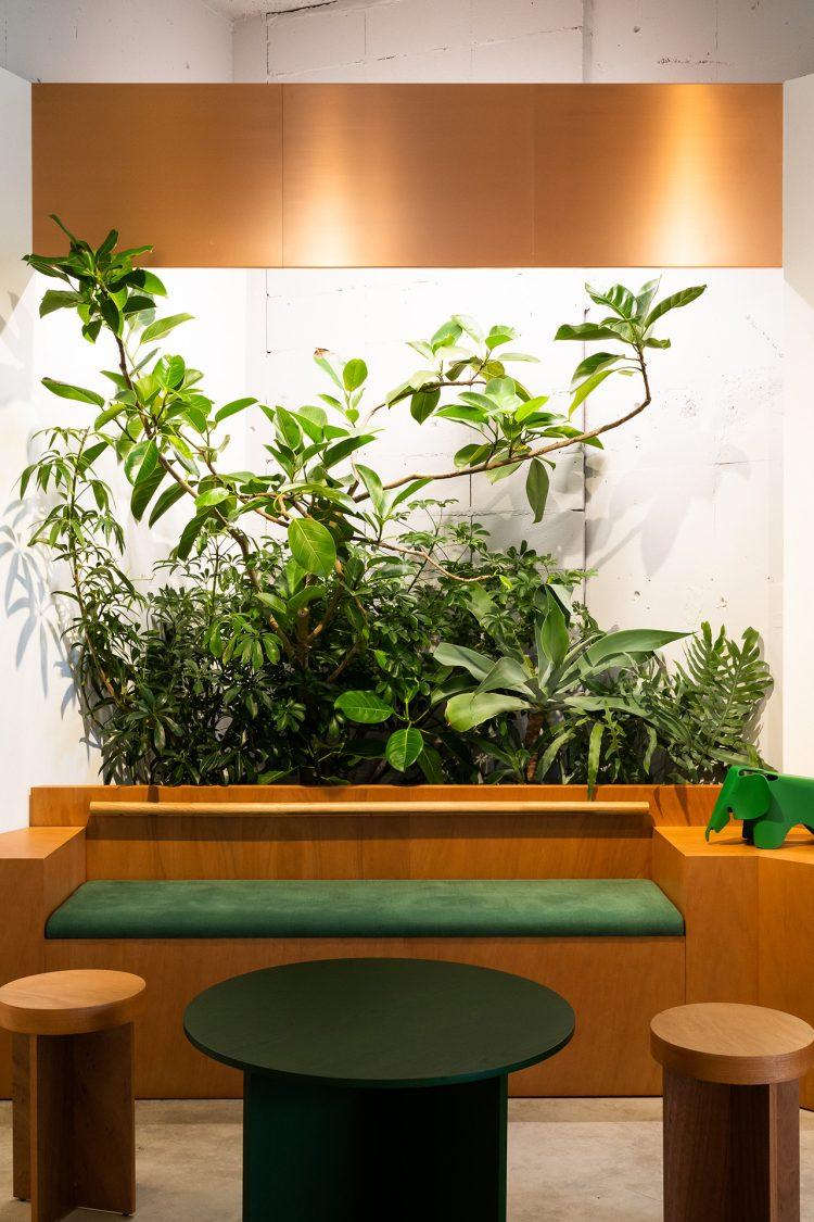 カフェ / 緑色のシートの背面には豊かな植栽