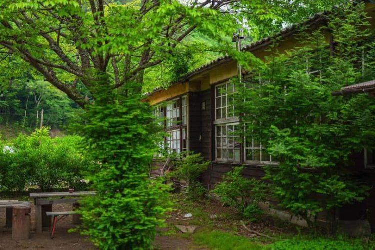 緑越しに校舎をとらえるアングル / 夏