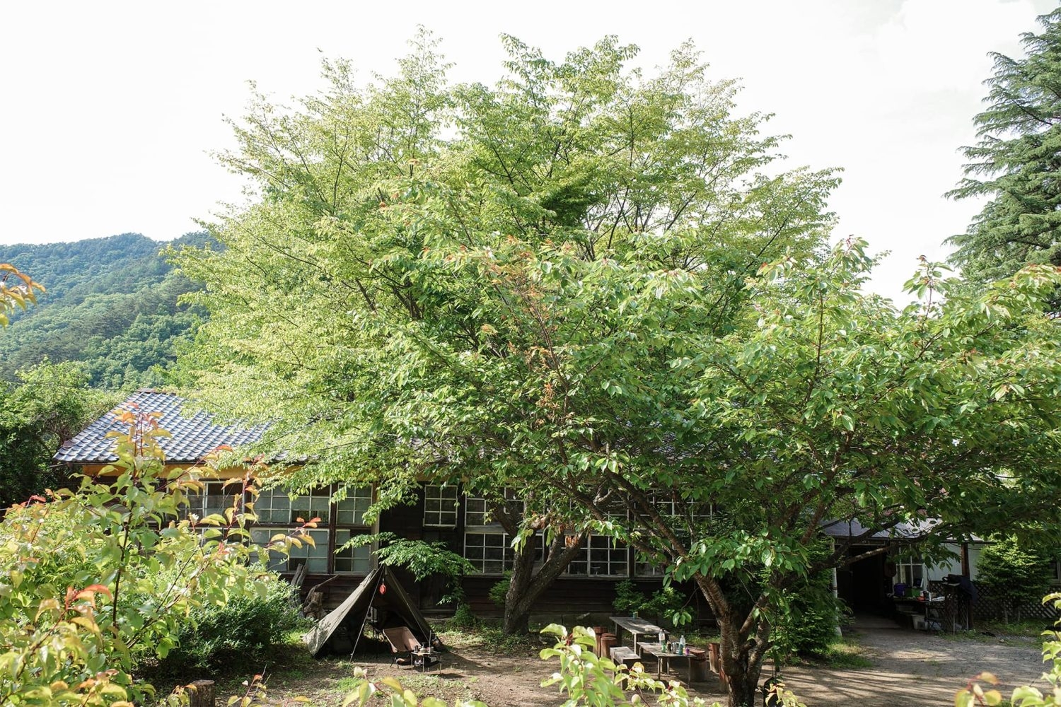校舎の奥には自然豊かな山々が続きます / 夏