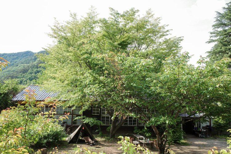 校舎の奥には自然豊かな山々が続きます / 夏