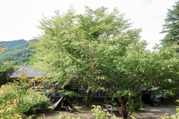 校舎の奥には自然豊かな山々が続きます / 夏