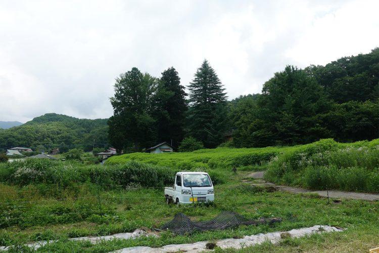 オプション:軽トラック(事前要相談)