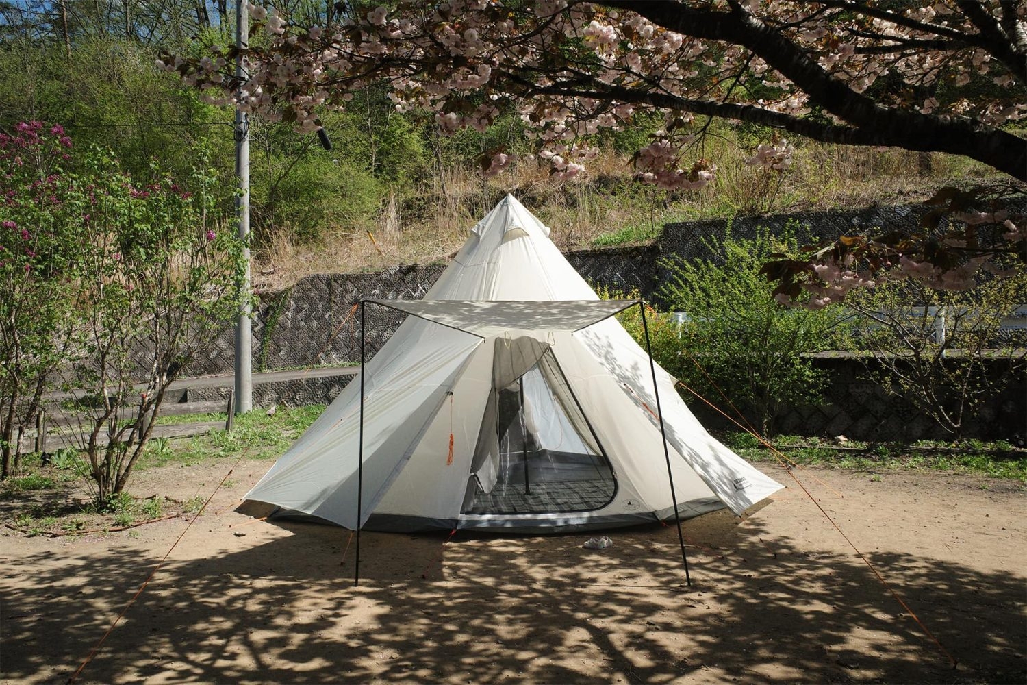 ワンポールテント貸し出し可能