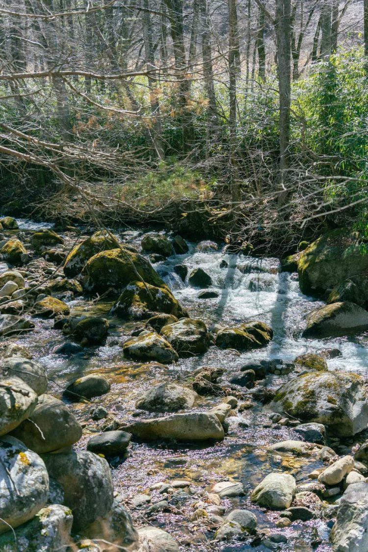 近隣ロケ地:岩に苔むす川