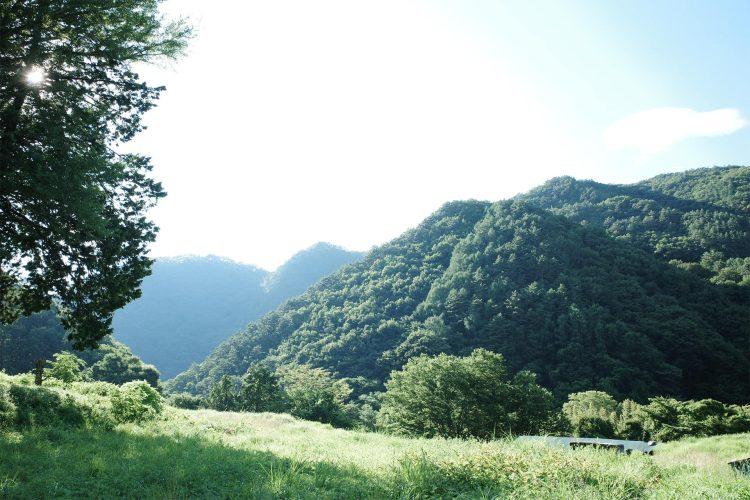 近隣ロケ地:広大な自然 / 夏