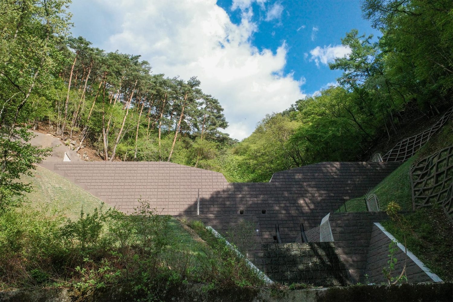 近隣ロケ地:大自然を下からとらえる角度 / 夏