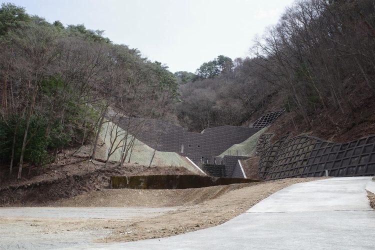 近隣ロケ地:木が枯れた状態の森 / 冬