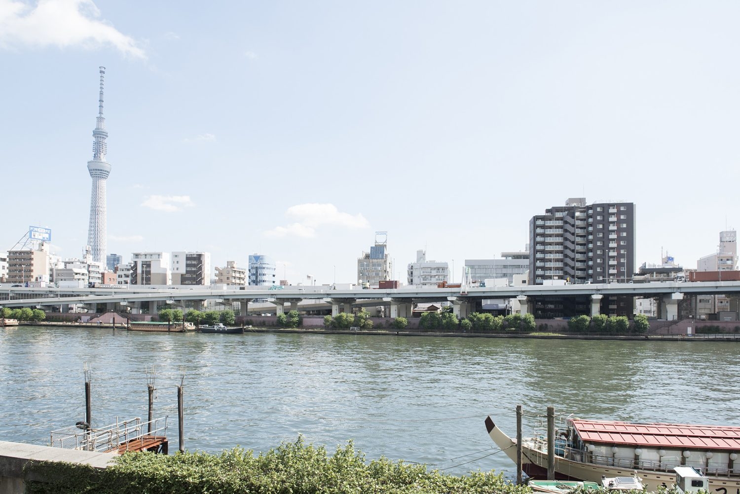 隅田川の向こうにはスカイツリー
