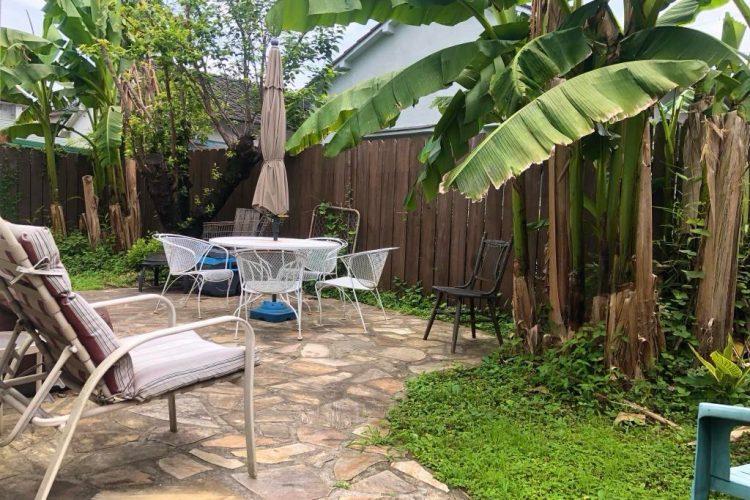 常緑樹ではないので季節で雰囲気が異なる