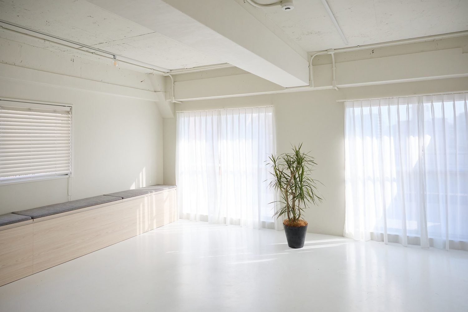 6F 統一されたやさしい色味