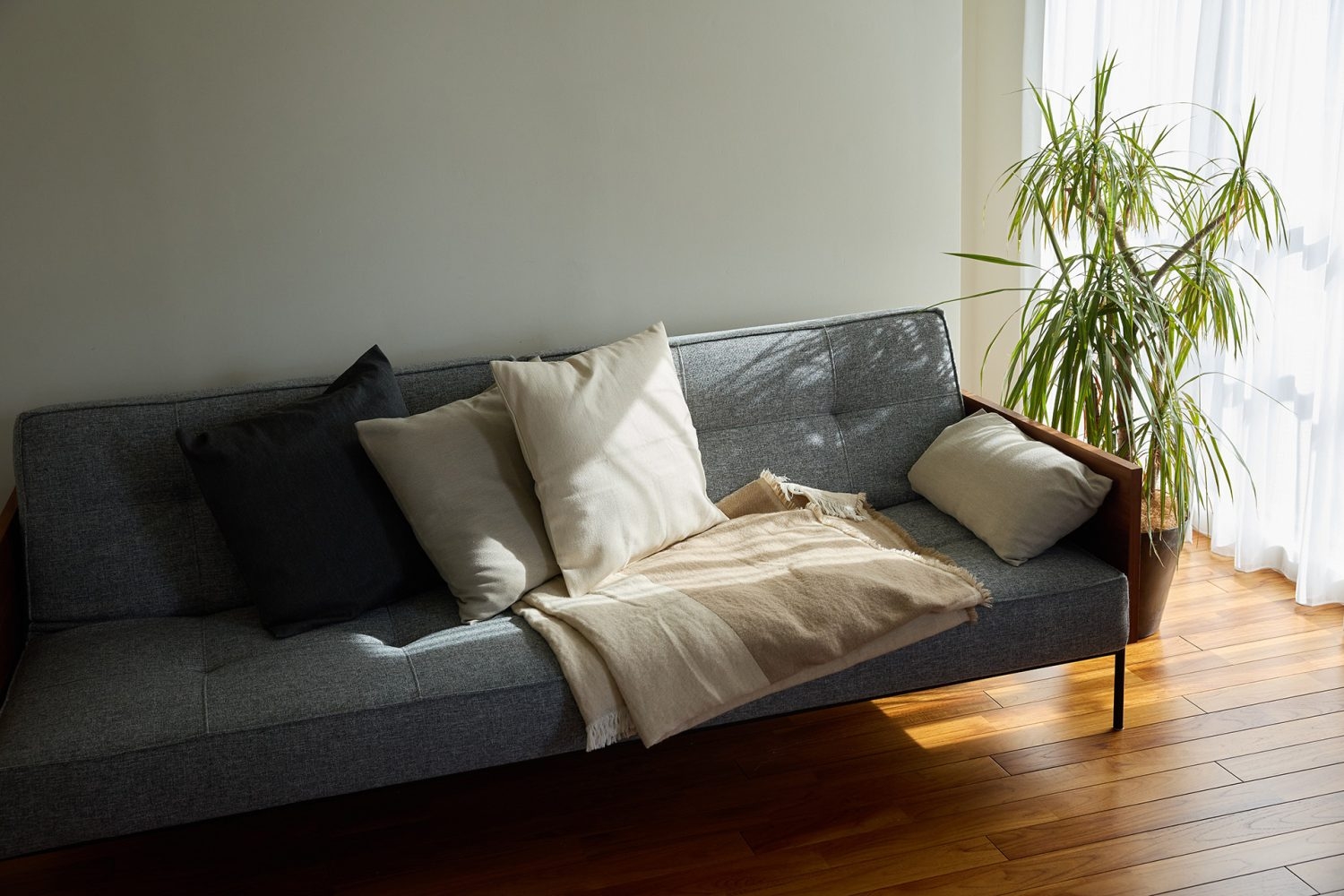 6F 落ち着いた色味のソファ