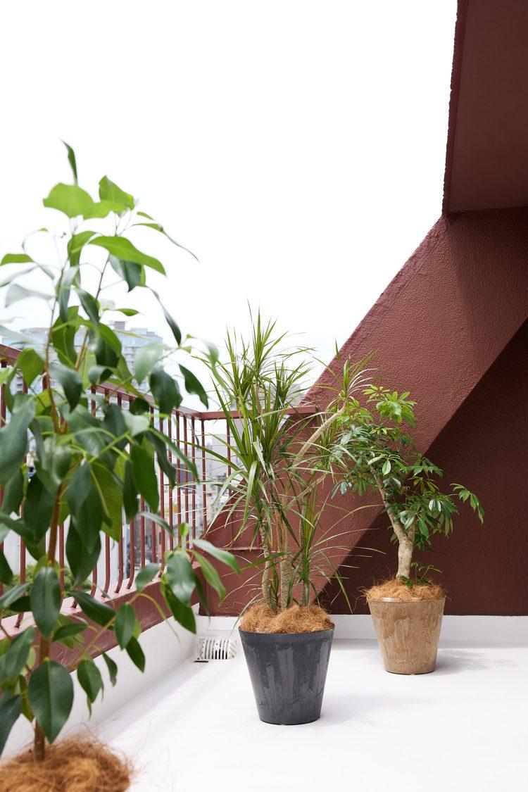 6F ゆとりのあるバルコニー