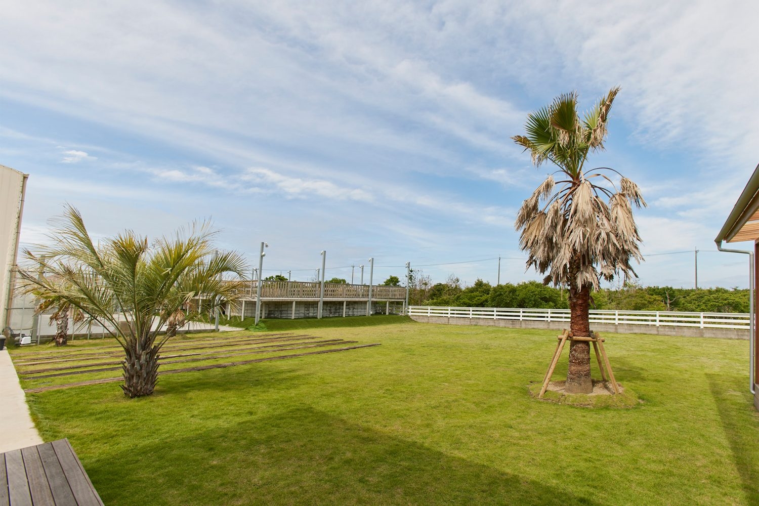 広々とした開放感あふれる芝生スペース
