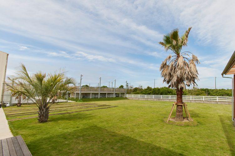 広々とした開放感あふれる芝生スペース