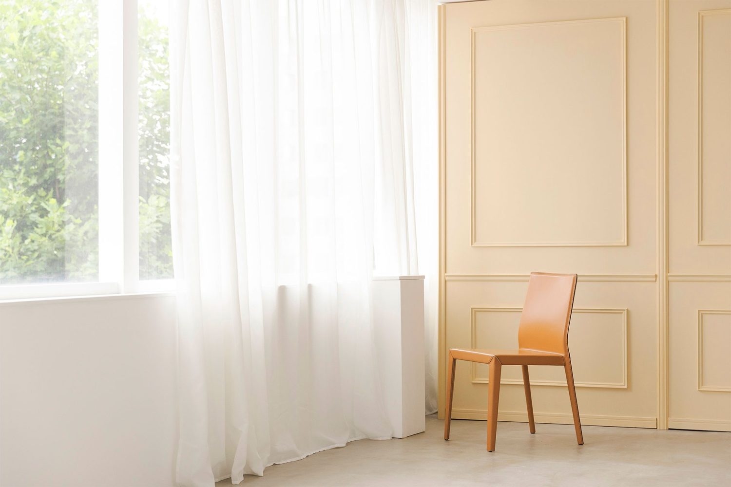 南側 / カーテン越しのやわらかな光