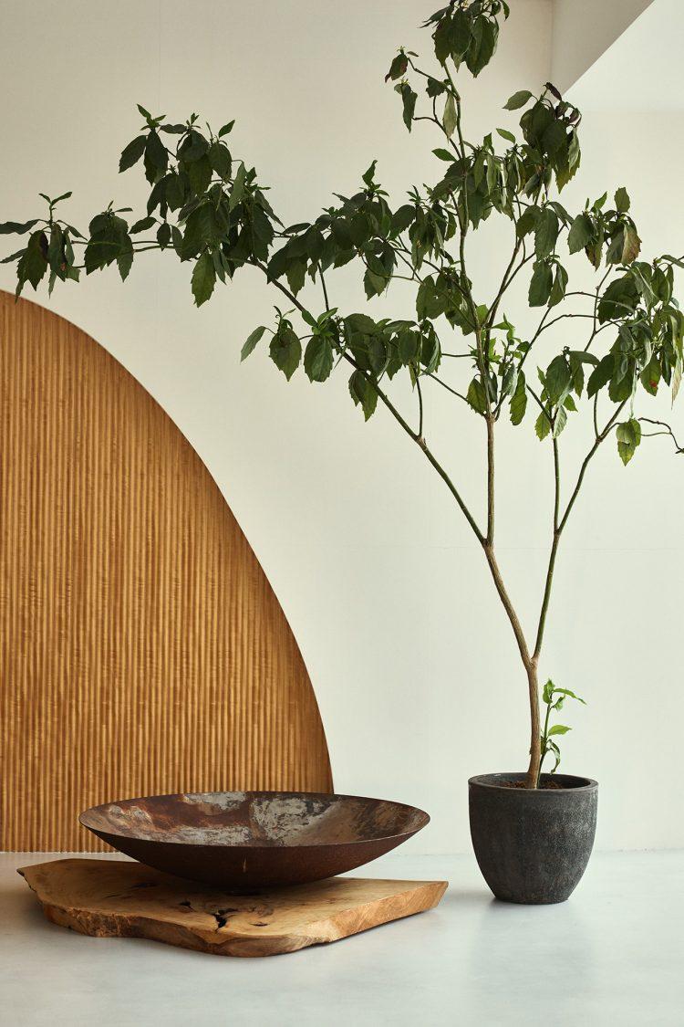 切り取り方で形の変わる造作ウッドウォール